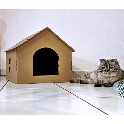 Katzenhaus aus Pappe