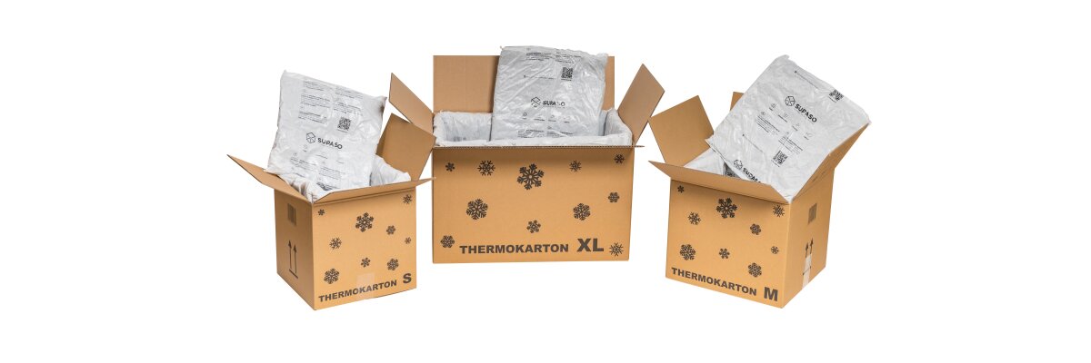 +++ NEU - Thermokarton +++ - Thermokarton  Thermobox Isolierbox Warmhaltebox Styroporbox  Tiefkühlversand