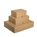 Maxibriefkarton - Kleinpaket A4, 330x242x77mm